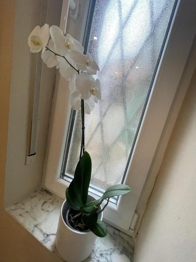 Apartament Happy House Lingotto Turyn Zewnętrze zdjęcie
